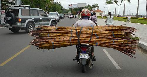 Sugarcane on a motorcycle